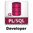 Allround Automations PL/SQL Developer