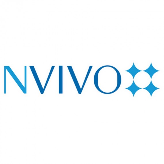 NVivo - New Nvivo Português